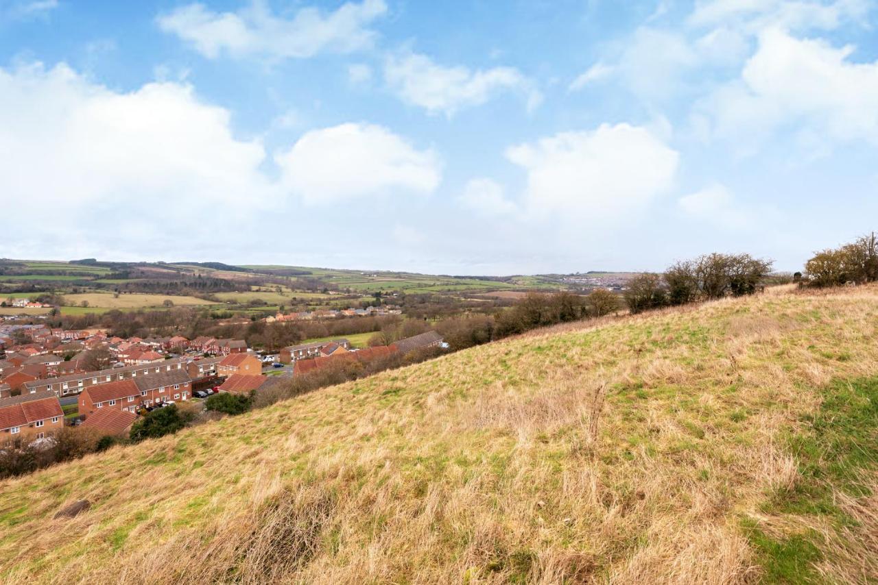 Hill Top Stables