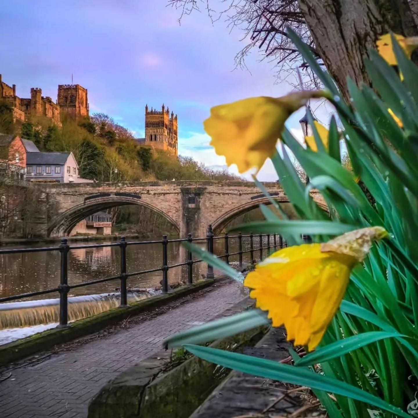 Durham Stays - The Mayor Hébergement de vacances Durham
