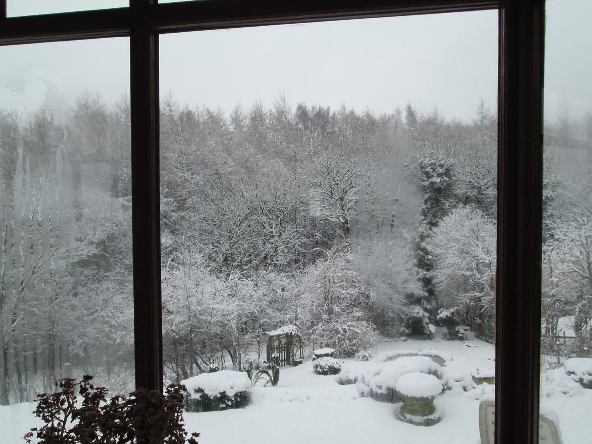 Oak Bed & Breakfast Durham